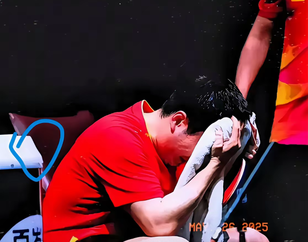 中国队横扫瑞典队,梁靖崑惊艳四座的简单介绍 中国队横扫瑞典队,梁靖崑惊艳四座的简单介绍