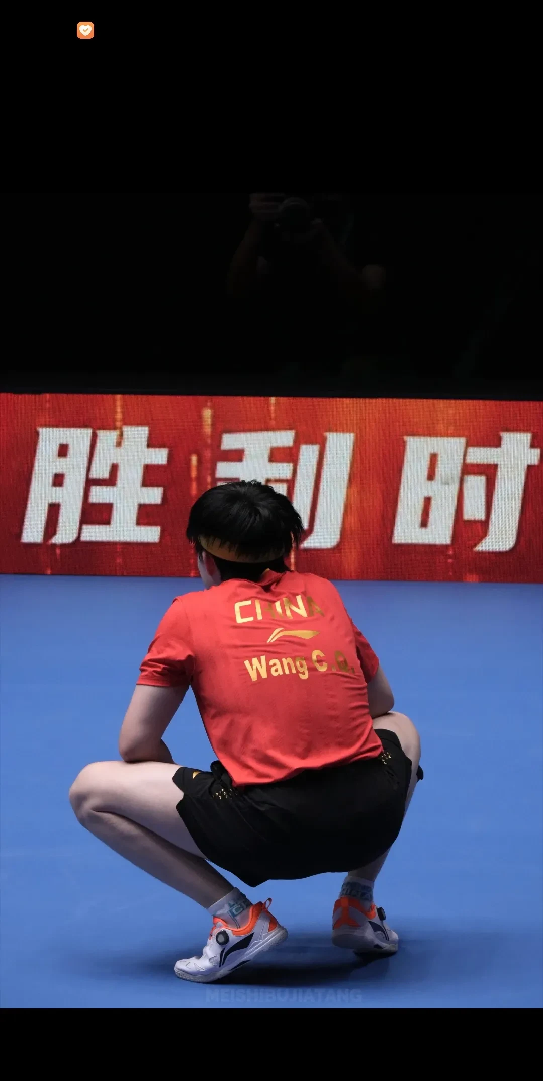 中国队绝杀奥地利队，梁靖崑点燃赛场的简单介绍