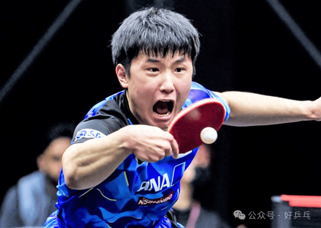 韩国队横扫波兰队，张本智和点燃赛场