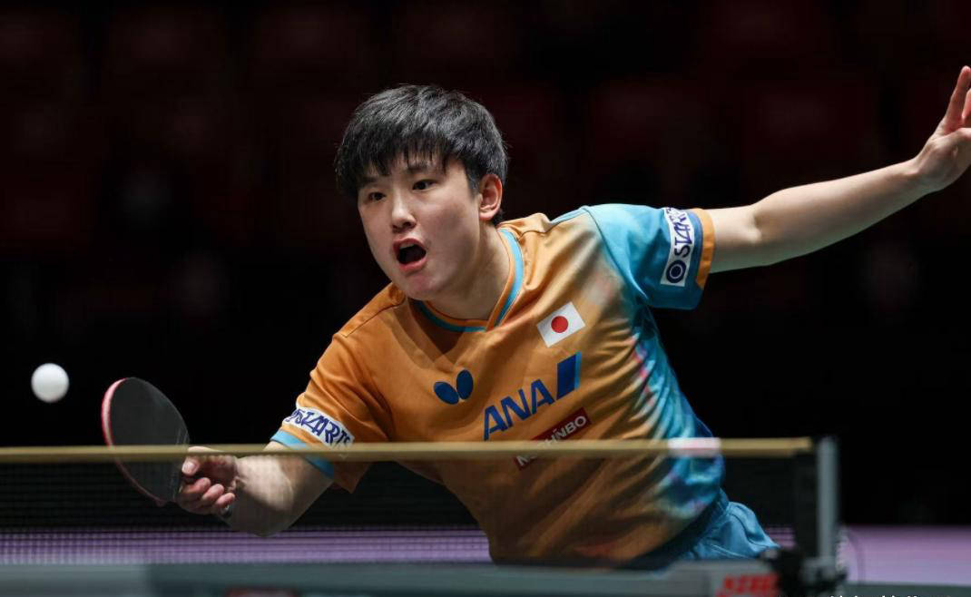 韩国队横扫波兰队，张本智和点燃赛场