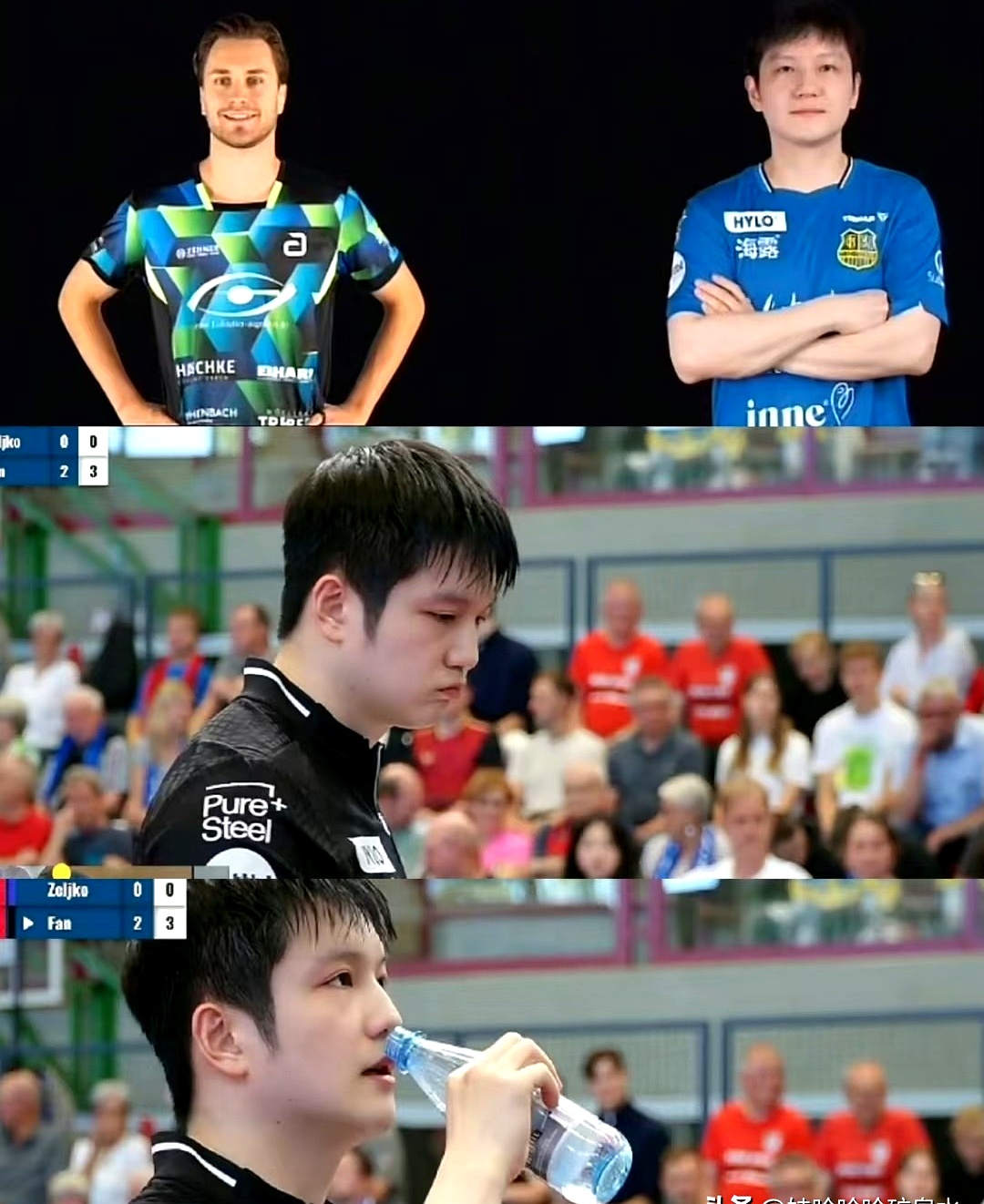 关于英国乒乓球队翻盘瑞典乒乓球队,樊振东爆发神勇的信息 关于英国乒乓球队翻盘瑞典乒乓球队,樊振东爆发神勇的信息