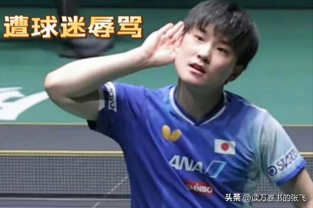 关于中国队力克德国队,张本智和点燃赛场的信息 关于中国队力克德国队,张本智和点燃赛场的信息