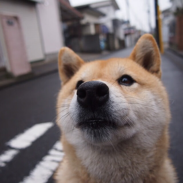 鹈鹕展翅,稳稳啄破浙江防线—霍勒迪赛后评分拉满的背后