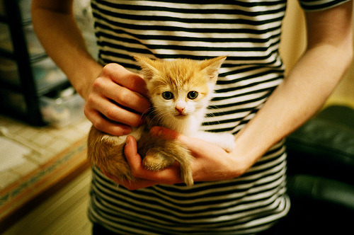 奇才强行终结鹈鹕,约基奇在奥运周期关键战接管比赛